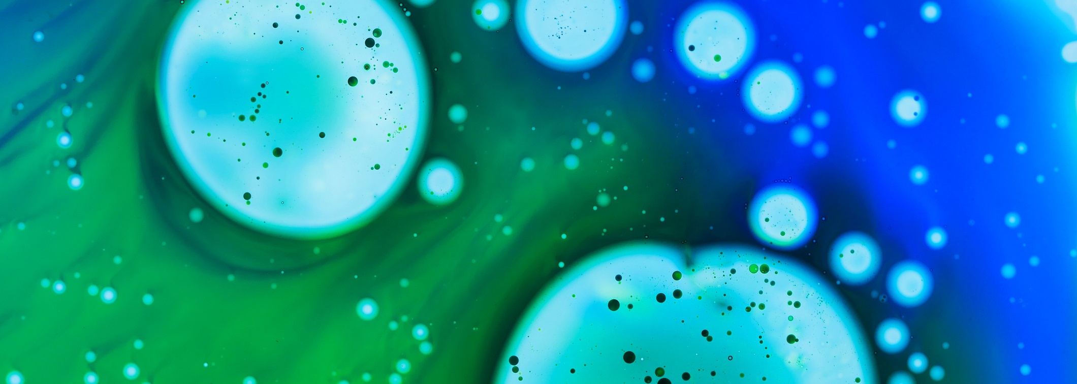 Micro cells in petri dish backlit with a white light. Close up inside a Petri dish with green and blue liquid with air bubbles. Close up taken with a Macro lens in the studio.